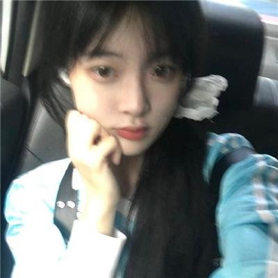 凛风不渡茉莉香