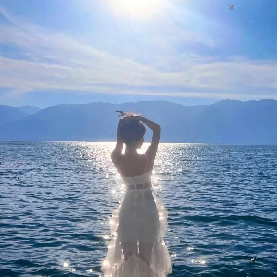 芝加哥警署第十二季